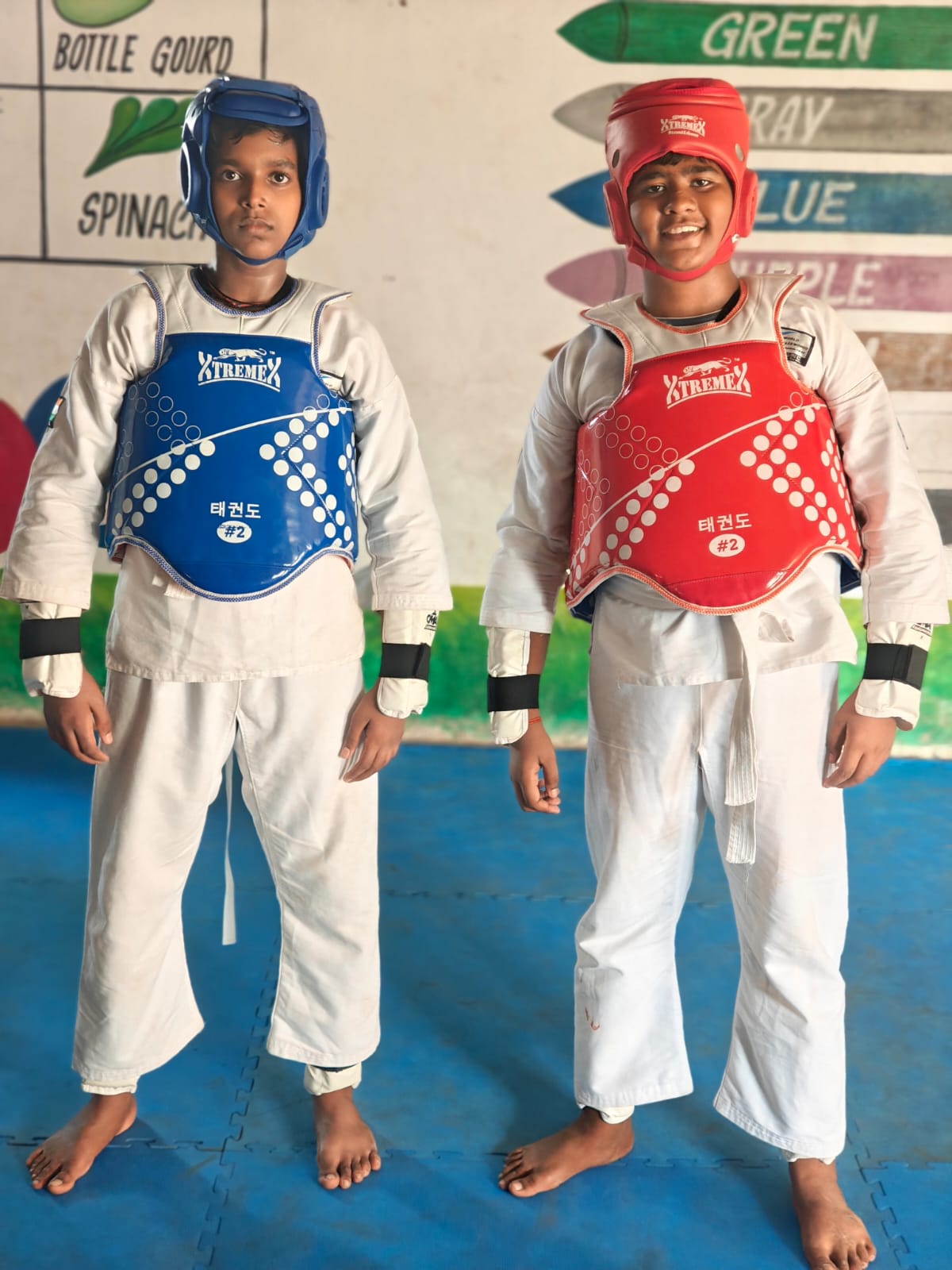 Taekwondo Training